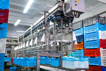 Large poultry farm processing workshop with automated conveyor systems, ensuring high-quality production, efficient packaging, and strict hygiene standards