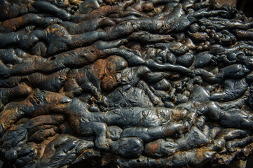 Discover the intriguing sight of rounded formations resembling tree roots on a black rock. A captivating blend of nature's artistry and geological wonder, captured up close.