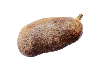 Closeup hymenaea courbaril stinking toe seed pod isolated on white background