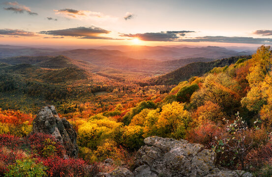 Sunset landscape with high peaks and valley with autumn spruce forest under vibrant colorful evening sky in forest mountains.