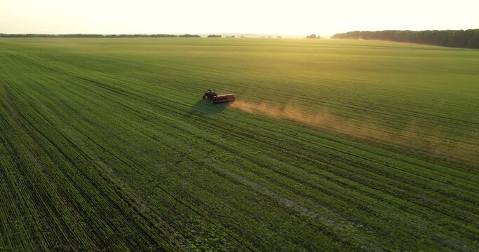 A tractor processes a field with agricultural crops against the background of the setting sun. Agricultural industry. Aerial view