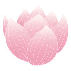Lotus, water lily flower hand drawn illustration. Line art, drawing style design, isolated vector. Mid Autumn Festival floral, botanical element, beautiful Asian flora, blossom, bloom, plant