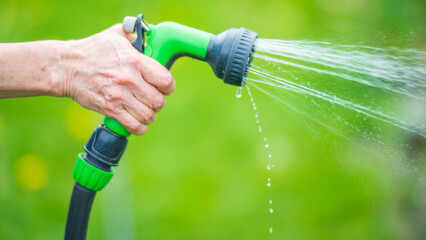 Farmer's hand with garden hose and gun nozzle watering vegetable plants in summer. Gardening concept. Agriculture plants growing in bed row