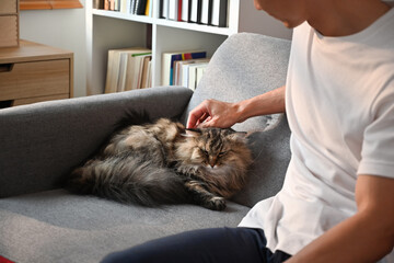 Man relaxing on couch at home and playing with lovely fluffy cat. Love, domestic pet concept