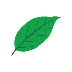 Green Leaf Logo Vector Template