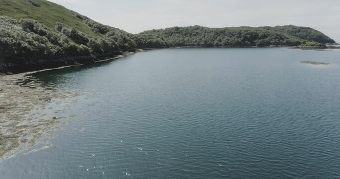 Drone shot of seals feeding in the sea in north scotland sea inside the coastline mountain terrain