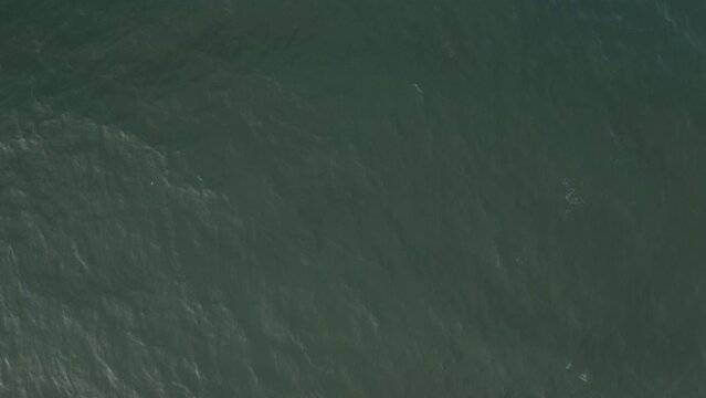 An aerial top down view of ocean waves breaking on reef