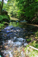 Obraz premium 醒井峡谷