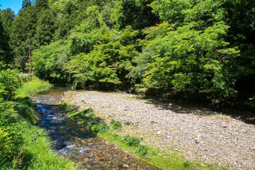 Naklejka premium 醒井峡谷