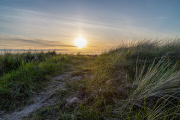 Breathtaking Golden Sunset over Beach  with Helmgrass