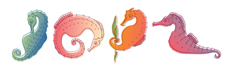 Stylized Sea Horses with Bony Armour and Curled Prehensile Tail Vector Set