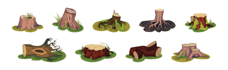 Tree Stump and Old Forest Stub on Green Grass Vector Set