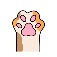 Cat paw, cat collar, international cat day 