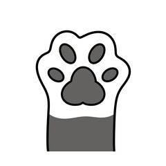 Cat paw, cat collar, international cat day 