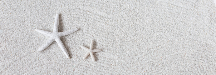 Fototapeta na wymiar White sea star on the sand, summer beach background