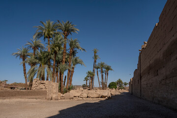 Vista del Templo de Karnak en Luxor, con sus columnas y jerogl&iacute;ficos, Egipto
