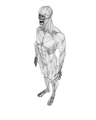 Fototapeta na wymiar Human body anatomy male man wireframe , muscular system of muscles . Flat medical scheme poster of training healthcare gym wireframe, vector illustration. Male body muscular system sketch drawing. 3D.
