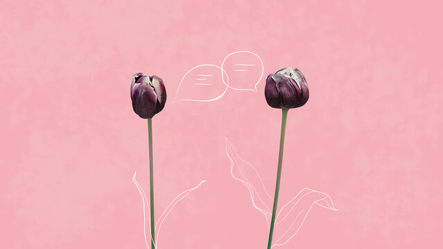 Plant Communication and Intelligence Concept Image. Pink Tulip Flower. 