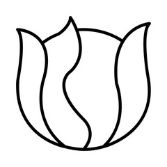 CABBAGE design vector icon design vector line icon svg