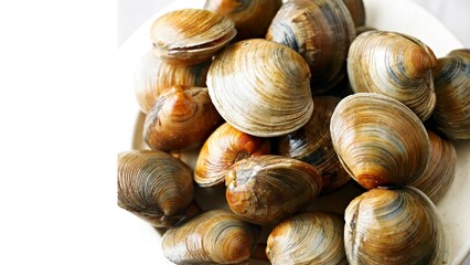 Ocean's Treasure: Exquisite Top-Down Closeup of a Fresh Clam, Revealing its Pristine Beauty