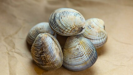 Ocean's Treasure: Exquisite Top-Down Closeup of a Fresh Clam, Revealing its Pristine Beauty