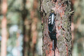 Lost car keys hanging on a tree