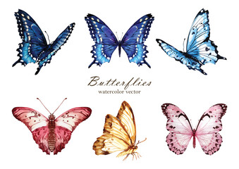 Set of Butterfly watercolor vector elements design