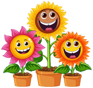 Sunflower plant in pot cartoon isolated