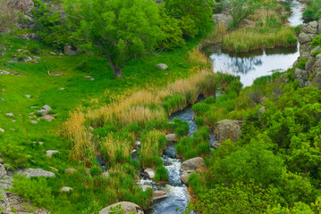 closeup small river flow among green fields