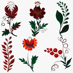 Set of hand drawn flowers and leaves. Botanical watercolor illustration.
