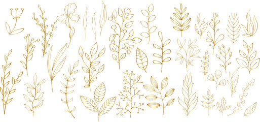 Set of golden floral branches and herbs silhouettes. Elegant botanic elements for wedding. Vector isolated spring gold flourish borders. - obrazy, fototapety, plakaty