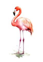 Fotobehang Pink flamingo isolated on white background. Generative AI. © Hanna