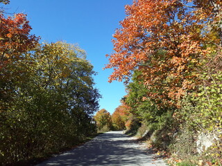 Naklejka premium Plitvice Park on a sunny autumn day in 2017