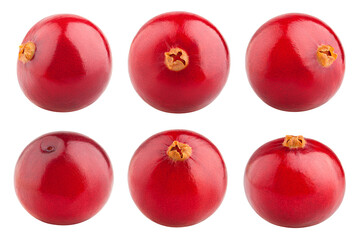 cranberry isolated on white background, full depth of field