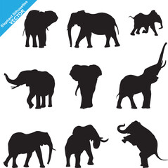 Set of Elephant Silhouettes