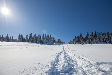 Fototapeta premium Paltinis Sibiu winter Romania Transylvania 