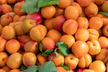 albaricoques maduros frescos con hojas como fondo, vista superior