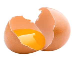 chicken egg, isolated on white background, full depth of field