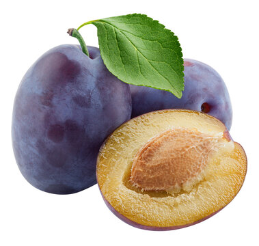 plum isolated on white background, full depth of field