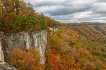 Aerial view of vibrant autumn landscape in New River Gorge National Park at the daytime