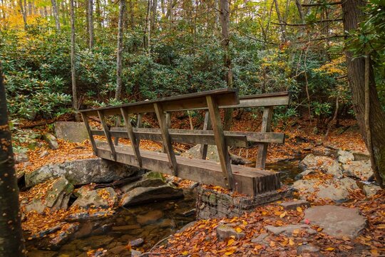 Rustic wooden bridge situated in a tranquil forest landscape