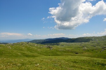 Aerial view of greenery field under blue bright sky