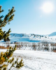 Vertical of houses laying along a snowy hill with leafless and evergreen trees under the bright sky