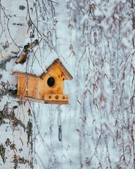 Closeup of a handmade wooden bird house hanging on a tree trunk in a snow-covered park in winter