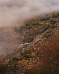 Aerial view of a road surrounded by trees and fog