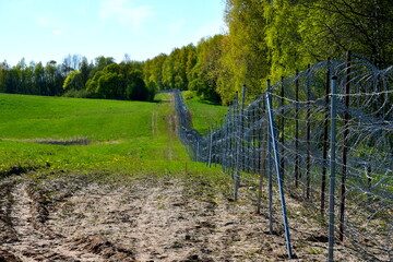 A view of a wall and barbed wire serving as a protection against invasion, set up near the border between Poland and Russia, spotted on a sunny summer day, next to some forest or moor