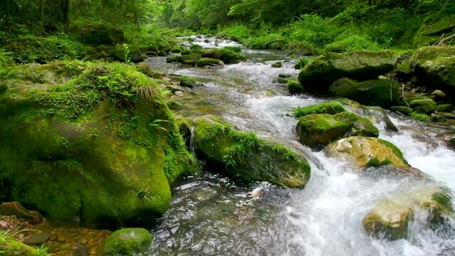 Streams in green forests, small rivers in valleys ，water
