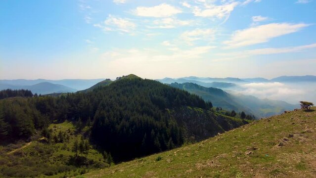 at the top of the mountain above the clouds with coniferous trees in Blida Algeria - Slow motion