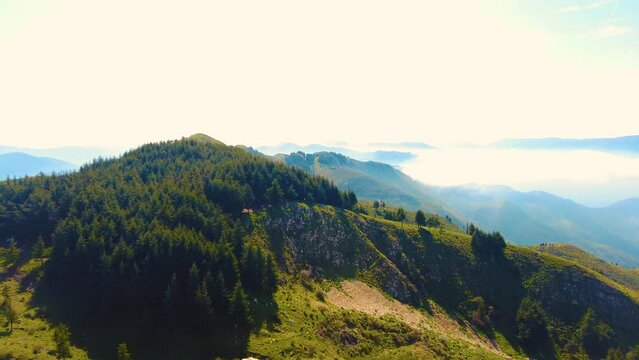 at the top of the mountain above the clouds with coniferous trees in Blida Algeria - Slow motion