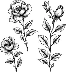 Set of floral doodle. Flower doodle, leaf and twig doodle. Floral poster, invitation floral. Vector arrangements for greeting card or invitation design	